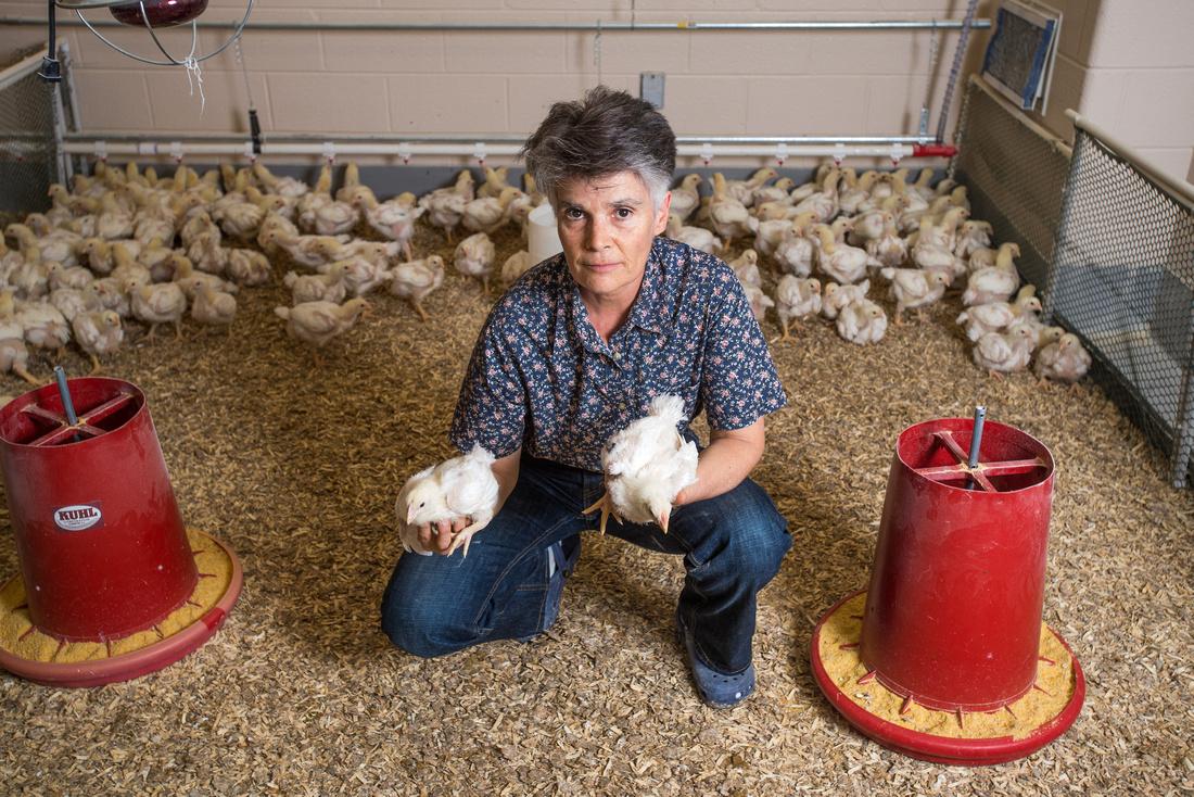 Dr. Roselina Angel holds 2 chicks